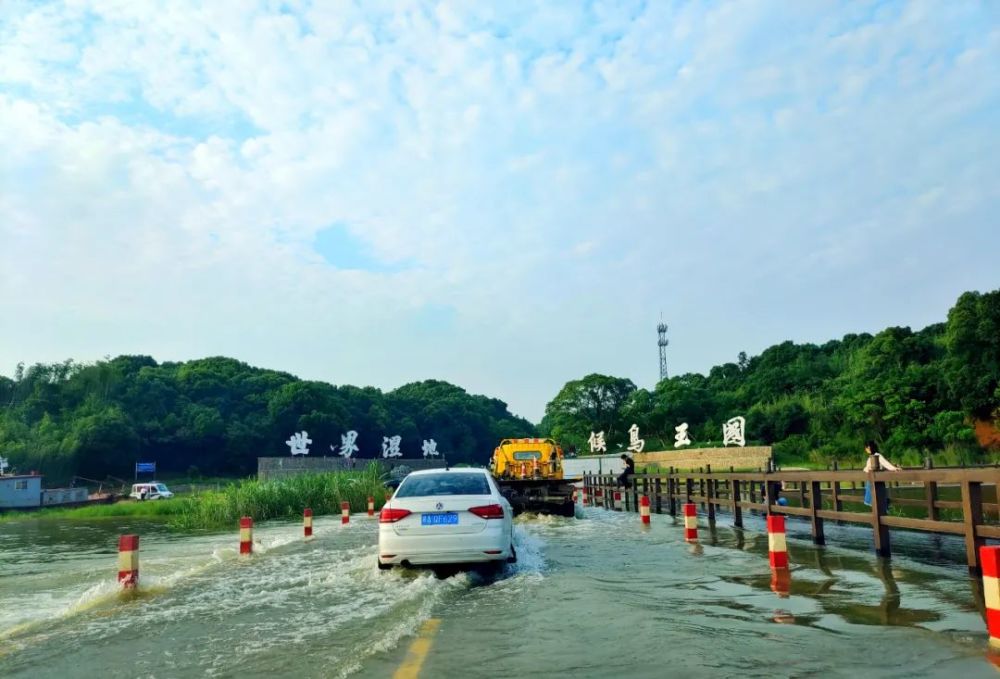  沙尔克复兴之路重现德甲曙光